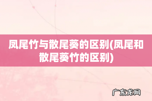 凤尾和散尾葵竹的区别 凤尾竹与散尾葵的区别