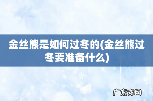 金丝熊过冬要准备什么 金丝熊是如何过冬的