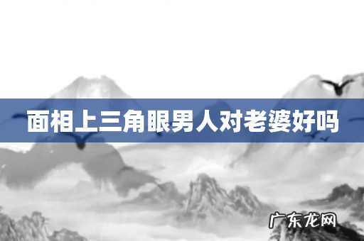 面相上三角眼男人对老婆好吗