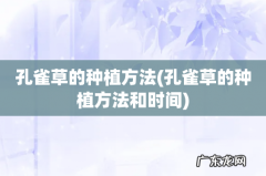 孔雀草的种植方法和时间 孔雀草的种植方法