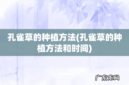 孔雀草的种植方法和时间 孔雀草的种植方法
