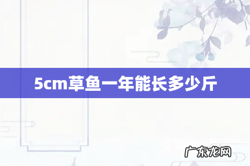 5cm草鱼一年能长多少斤