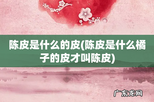 陈皮是什么橘子的皮才叫陈皮 陈皮是什么的皮