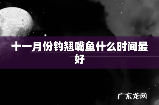 十一月份钓翘嘴鱼什么时间最好