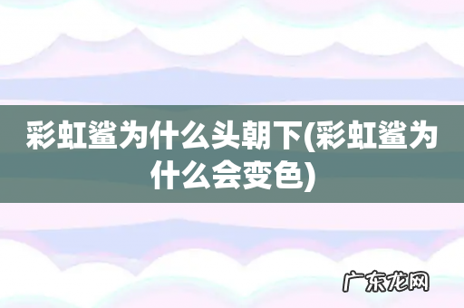 彩虹鲨为什么会变色 彩虹鲨为什么头朝下