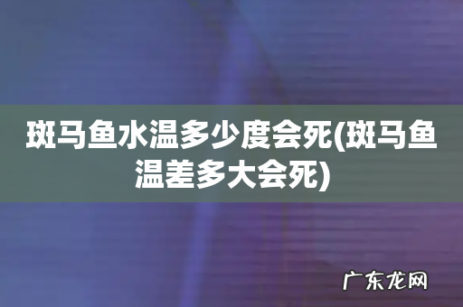 斑马鱼温差多大会死 斑马鱼水温多少度会死