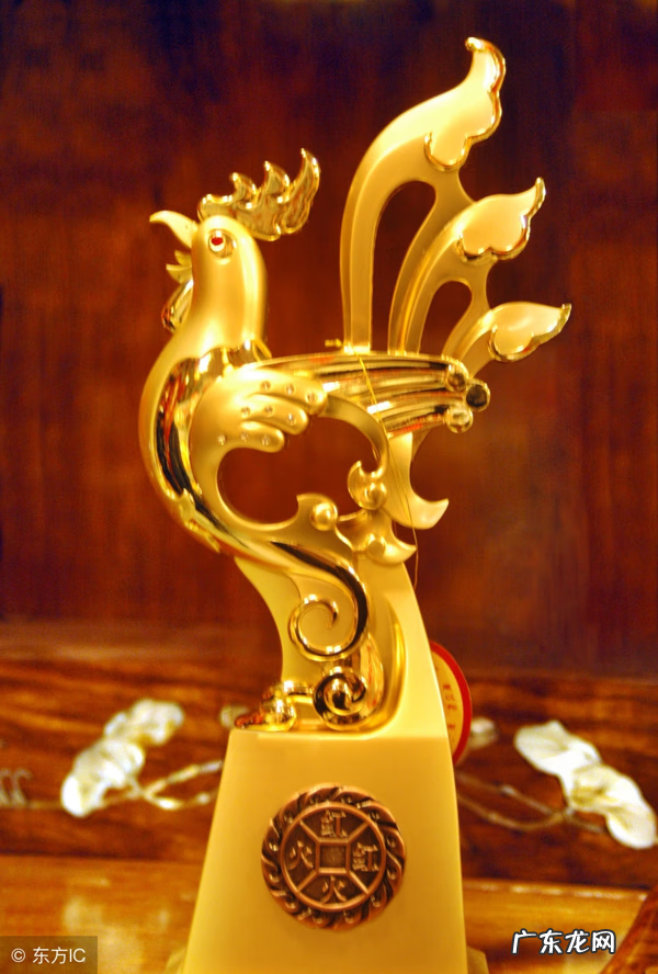 家里种什么植物风水好又旺财 30种风水用品