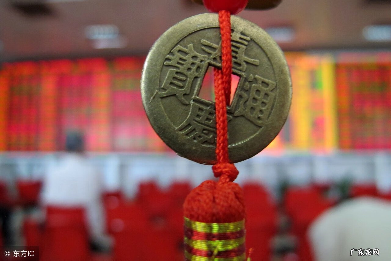 家里种什么植物风水好又旺财 30种风水用品