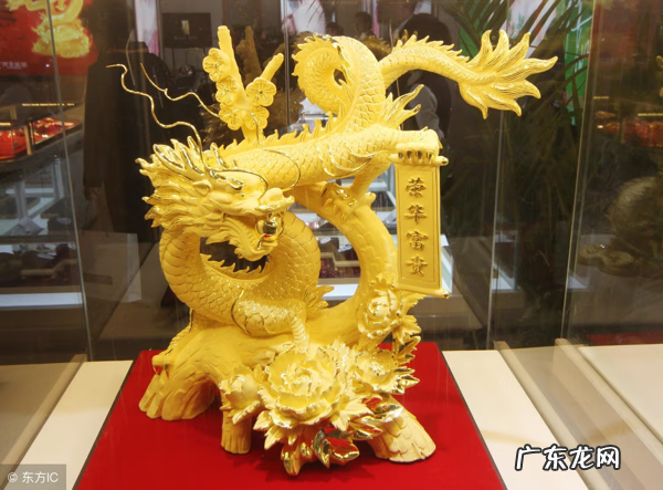 家里种什么植物风水好又旺财 30种风水用品