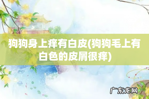 狗狗毛上有白色的皮屑很痒 狗狗身上痒有白皮