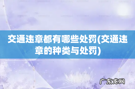 交通违章的种类与处罚 交通违章都有哪些处罚