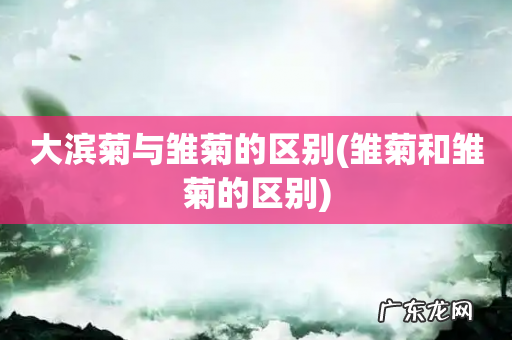 雏菊和雏菊的区别 大滨菊与雏菊的区别