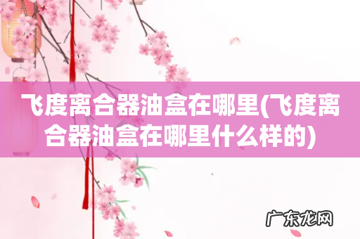 飞度离合器油盒在哪里什么样的 飞度离合器油盒在哪里