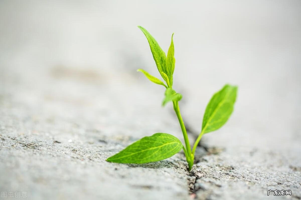 永不结束的夏天 无尽的夏天开始了