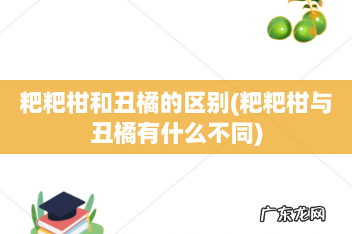 粑粑柑与丑橘有什么不同 粑粑柑和丑橘的区别