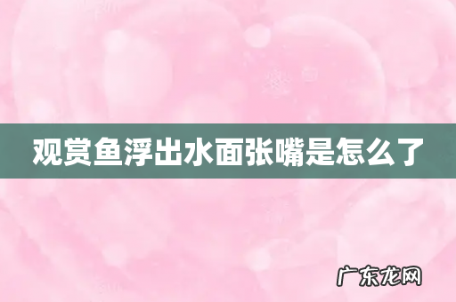 观赏鱼浮出水面张嘴是怎么了