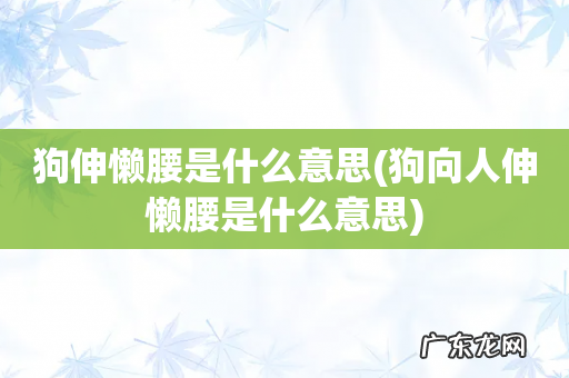 狗向人伸懒腰是什么意思 狗伸懒腰是什么意思