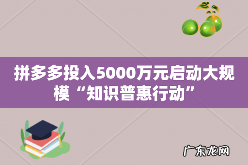 拼多多投入5000万元启动大规模“知识普惠行动”