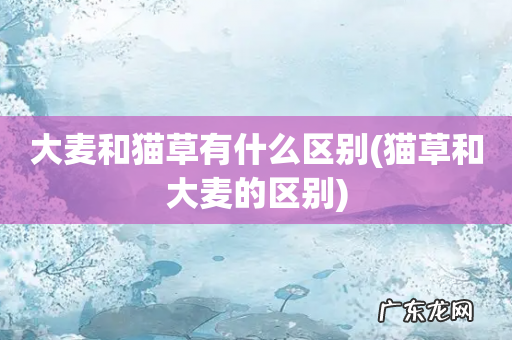 猫草和大麦的区别 大麦和猫草有什么区别