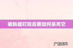 被蚂蝗叮咬后要如何杀死它