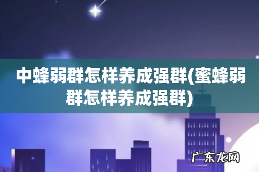 蜜蜂弱群怎样养成强群 中蜂弱群怎样养成强群