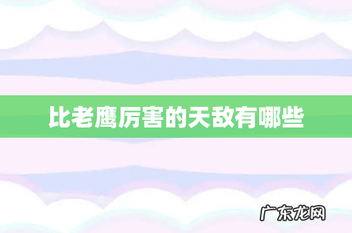 比老鹰厉害的天敌有哪些