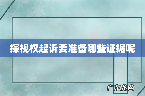 探视权起诉要准备哪些证据呢