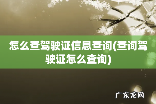 查询驾驶证怎么查询 怎么查驾驶证信息查询