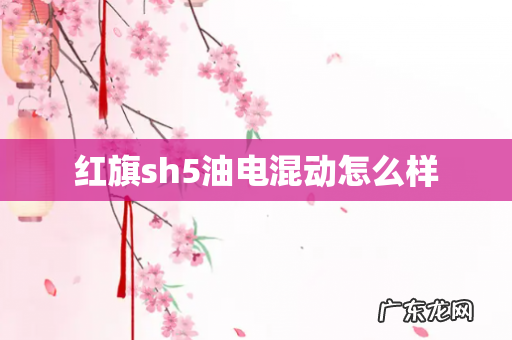 红旗sh5油电混动怎么样