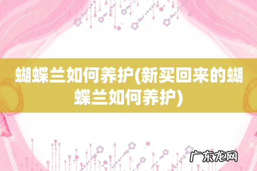 新买回来的蝴蝶兰如何养护 蝴蝶兰如何养护