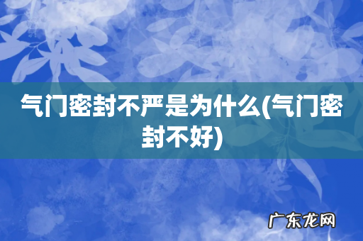 气门密封不好 气门密封不严是为什么