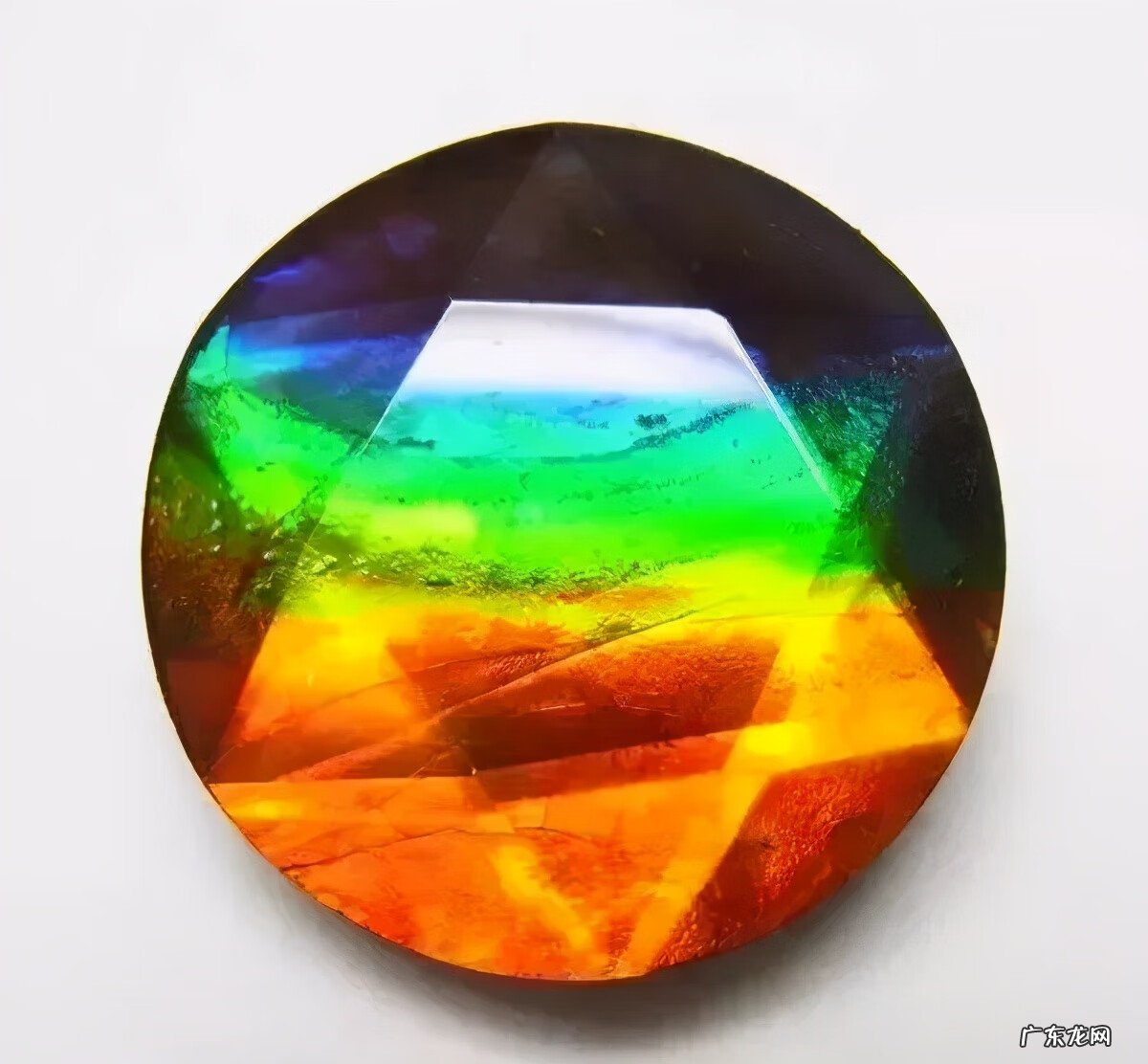 彩斑菊石 七彩石风水