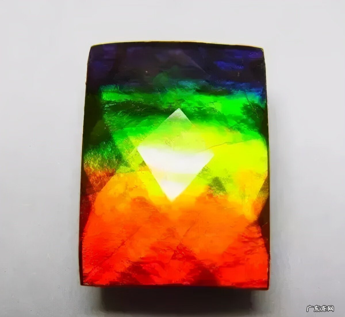 彩斑菊石 七彩石风水