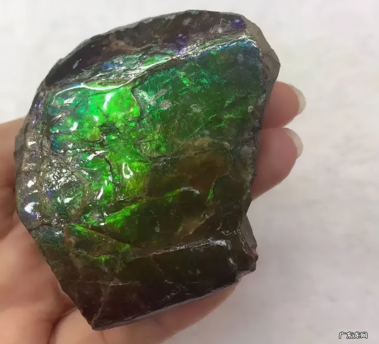 彩斑菊石 七彩石风水