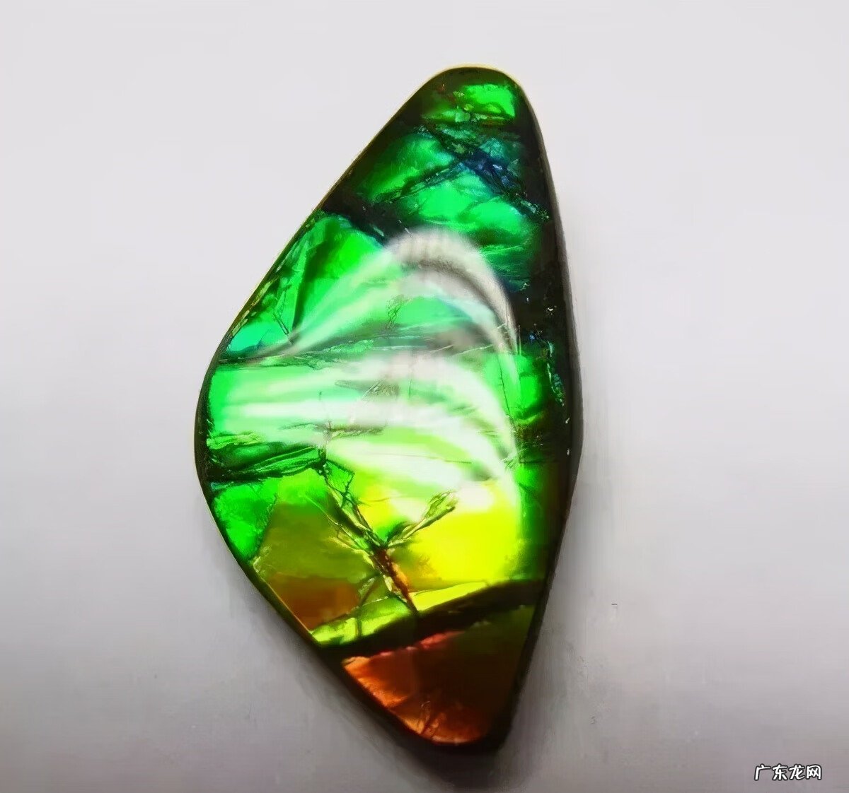 彩斑菊石 七彩石风水