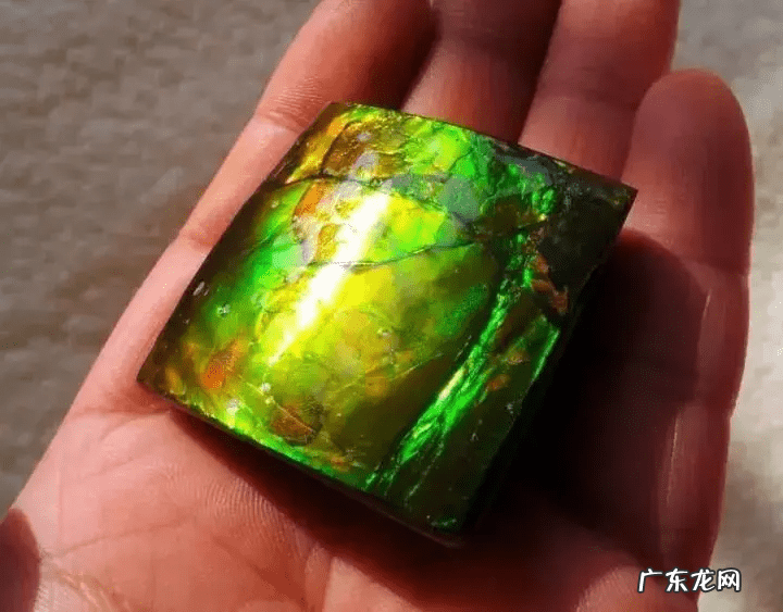 彩斑菊石 七彩石风水