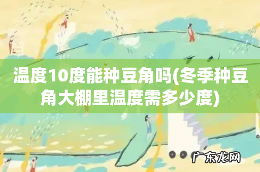 冬季种豆角大棚里温度需多少度 温度10度能种豆角吗