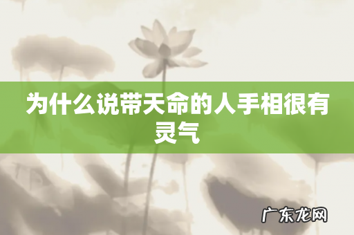 为什么说带天命的人手相很有灵气