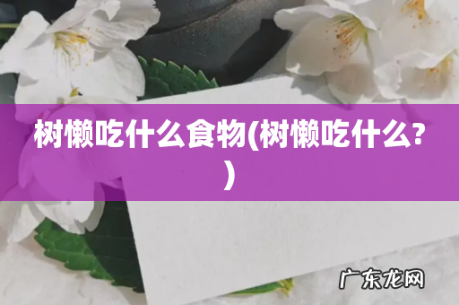 树懒吃什么? 树懒吃什么食物