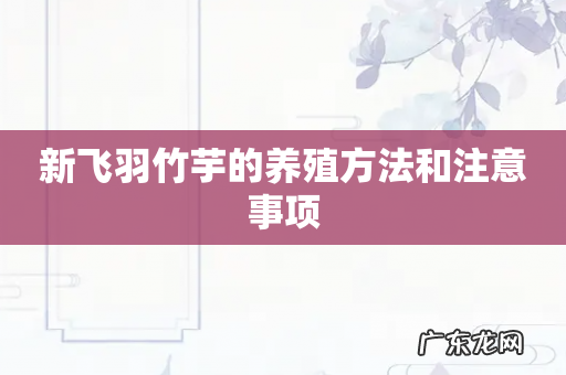 新飞羽竹芋的养殖方法和注意事项