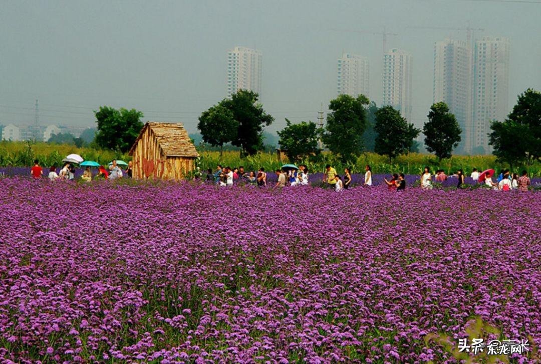 去太原的英文 太原英语怎么说