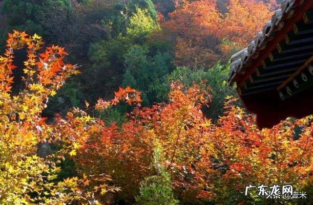 去太原的英文 太原英语怎么说