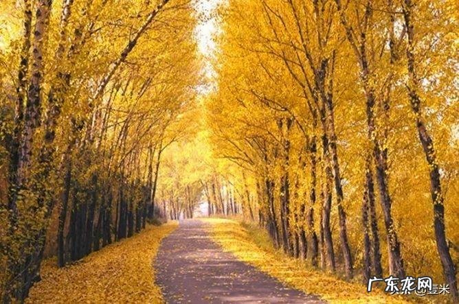 去太原的英文 太原英语怎么说