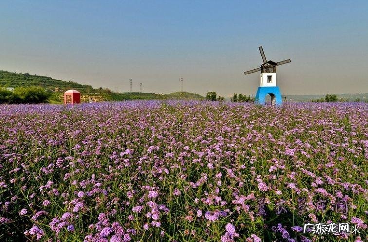 去太原的英文 太原英语怎么说