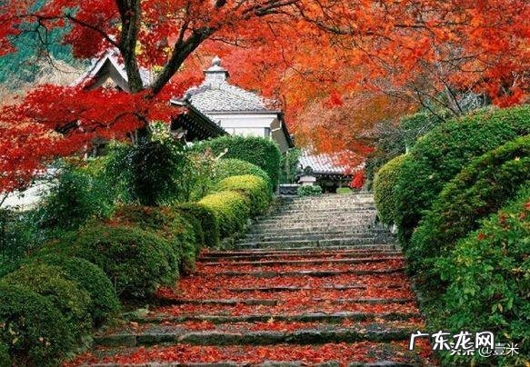 去太原的英文 太原英语怎么说