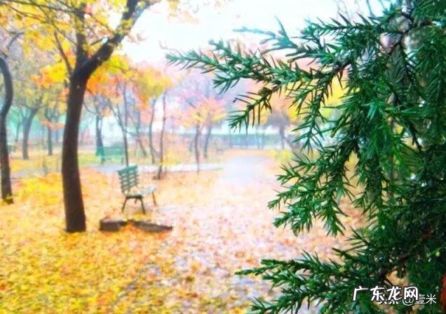 去太原的英文 太原英语怎么说