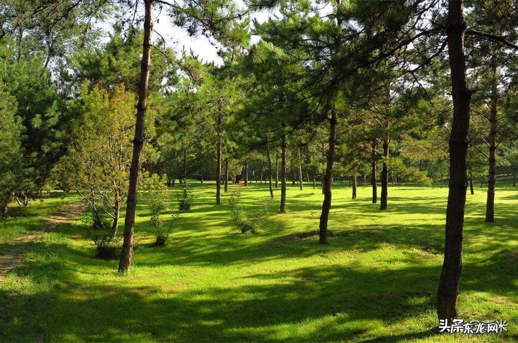 去太原的英文 太原英语怎么说