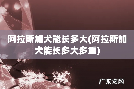 阿拉斯加犬能长多大多重 阿拉斯加犬能长多大