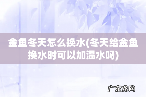 冬天给金鱼换水时可以加温水吗 金鱼冬天怎么换水