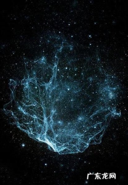 逍遥西游官网 逍遥游里的